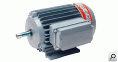 Motor monof  0,33HP 1000rpm 220V movim aire
